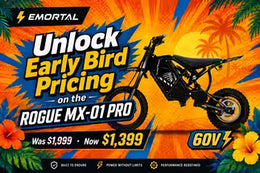 EARLY BIRD PRICE